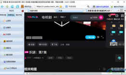 下载视频,一窥下载视频的精彩瞬间